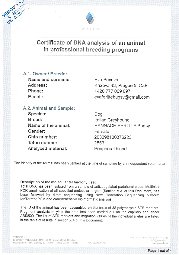 Hannach Feritte Bugsy DNA certifikat EN