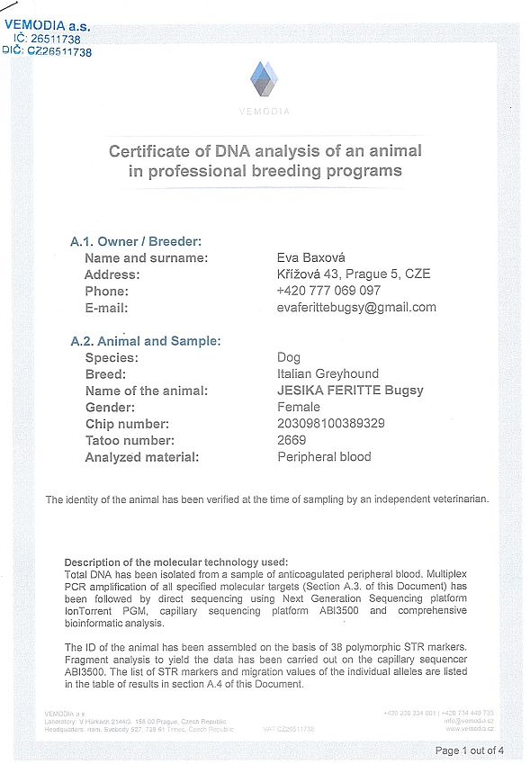 Jesika Feritte Bugsy DNA certifikat EN