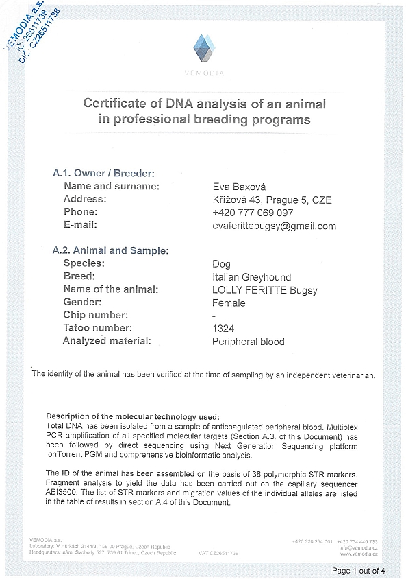 Lolly Feritte Bugsy DNA certifikat EN