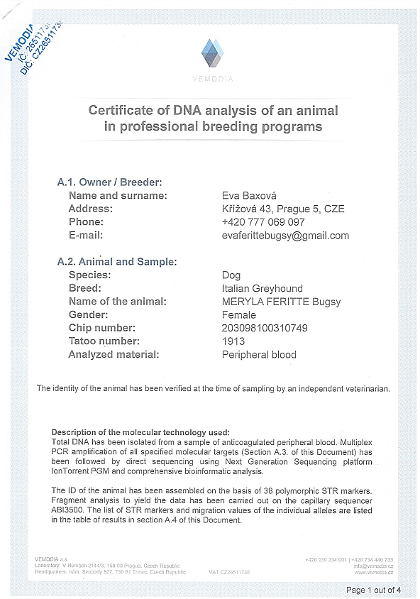 Meryla Feritte Bugsy DNA certifikat EN
