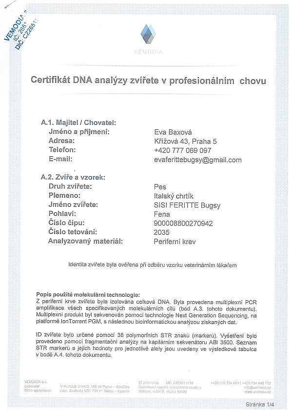 Sisi Feritte Bugsy DNA certifikat CZ