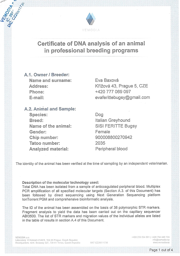Sisi Feritte Bugsy DNA certifikat EN