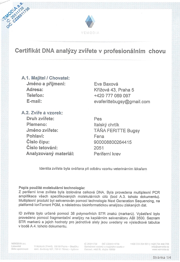 Tana Feritte Bugsy DNA certifikat CZ