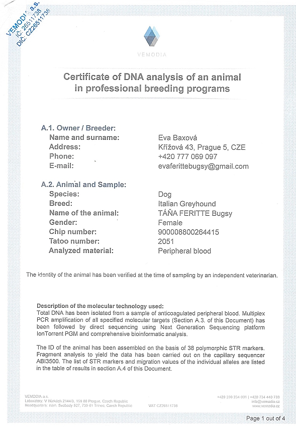 Tana Feritte Bugsy DNA certifikat EN