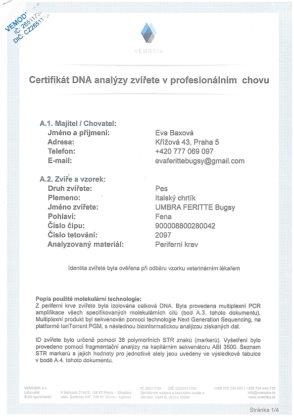 Umbra Feritte Bugsy DNA certifikat CZ