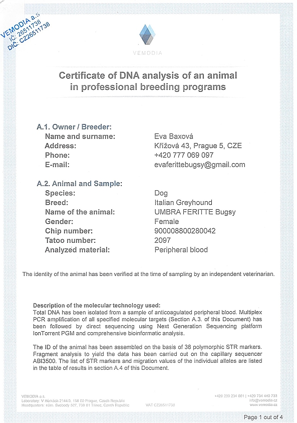 Umbra Feritte Bugsy DNA certifikat EN