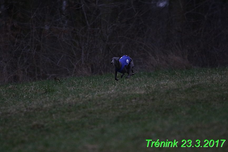 Trénink (100)