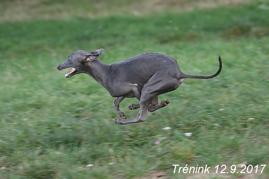 Náš trénink 12.9.2017 (17)