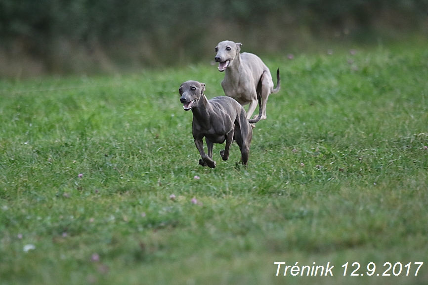 Náš trénink 12.9.2017 (65)