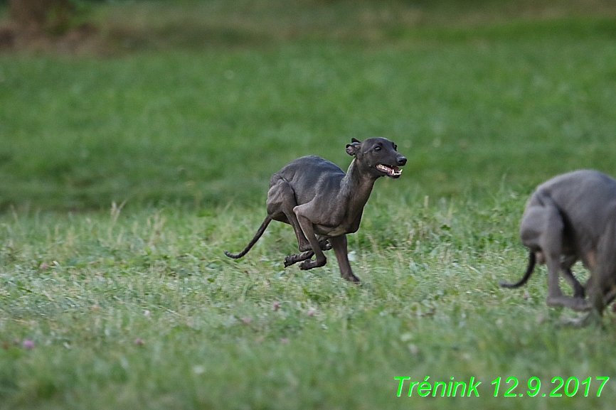 Náš trénink 12.9.2017 (71)