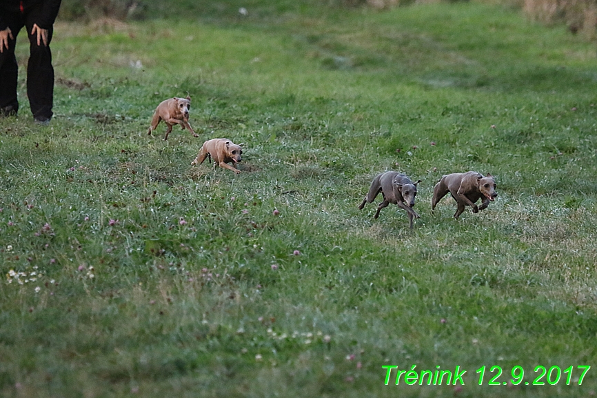 Náš trénink 12.9.2017 (85)