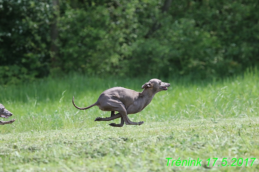 Trénink (3)