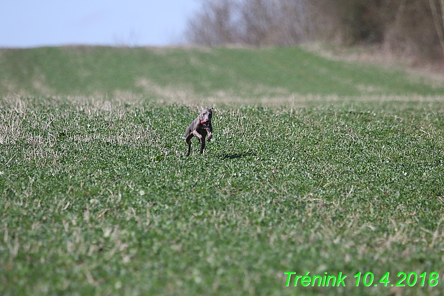 Trénink (2)