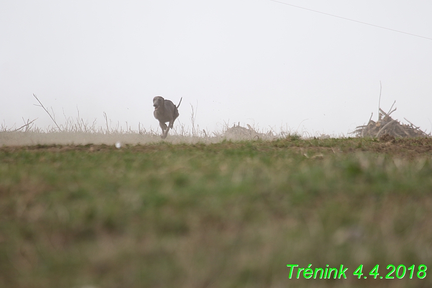 Trénink (2)