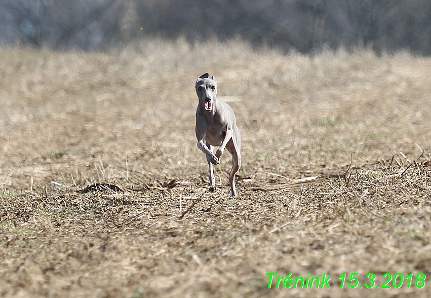 15.3.2018 Trénink (7)