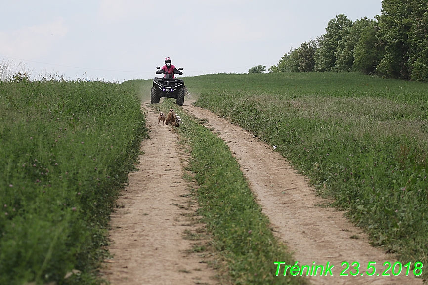 Trénink (9)