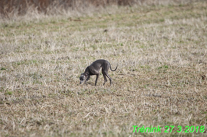 27.3.2018 Trenink (9)