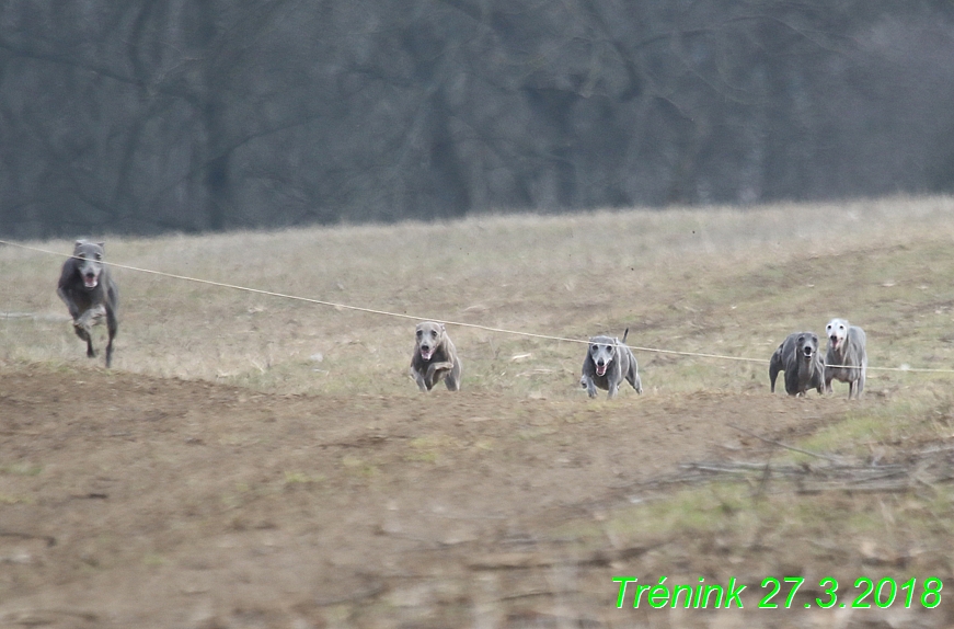 27.3.2018 Trenink (13)