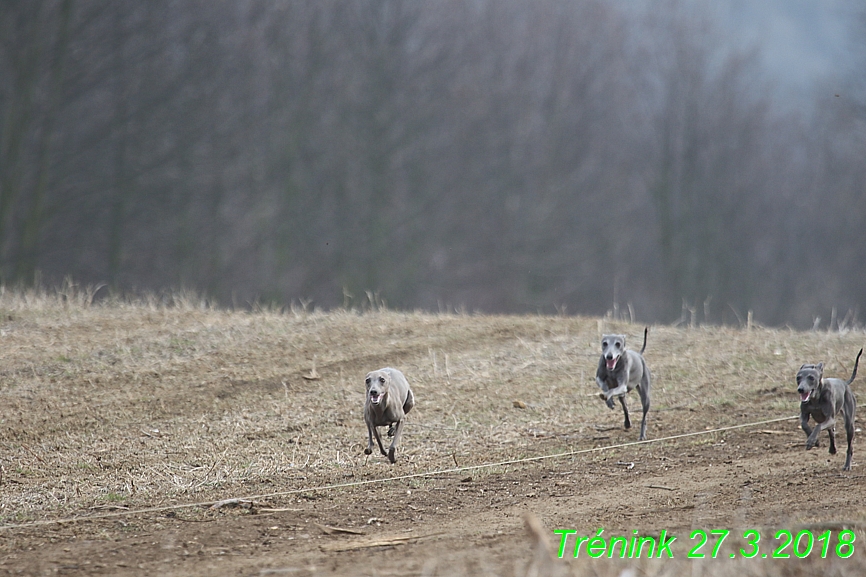 27.3.2018 Trenink (15)