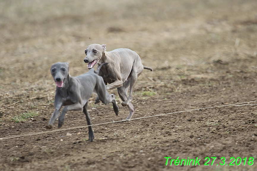 27.3.2018 Trenink (18)