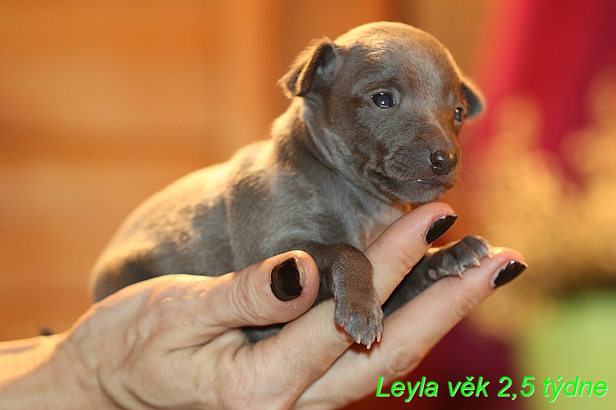 Leyla 2,5 tydne (9)