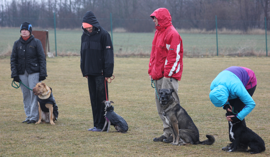 Tana cvičák 1.3.2015