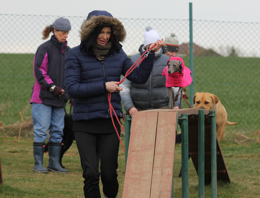 Táňa agility 2015 10