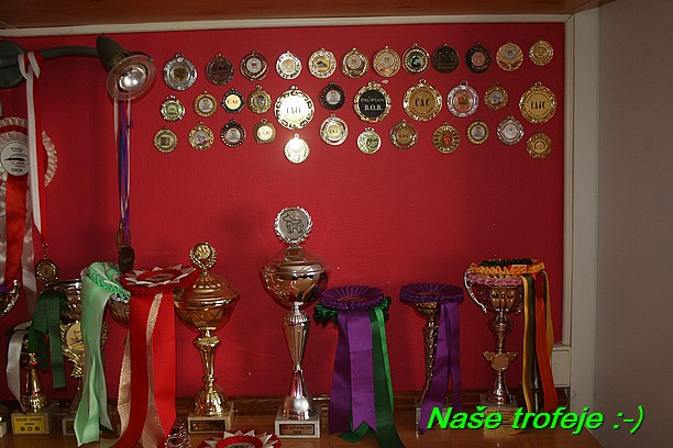 Nase trofeje (8)