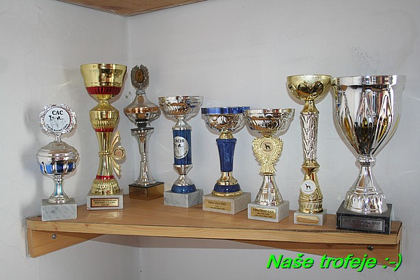 Nase trofeje (14)