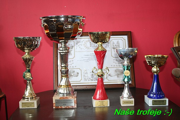 Nase trofeje (17)