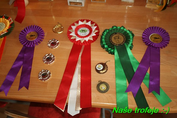 Nase trofeje (19)