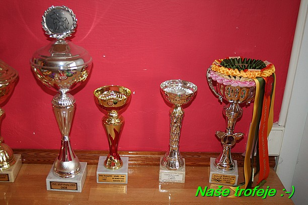 Nase trofeje (20)