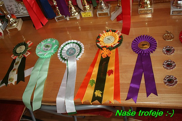 Nase trofeje (21)