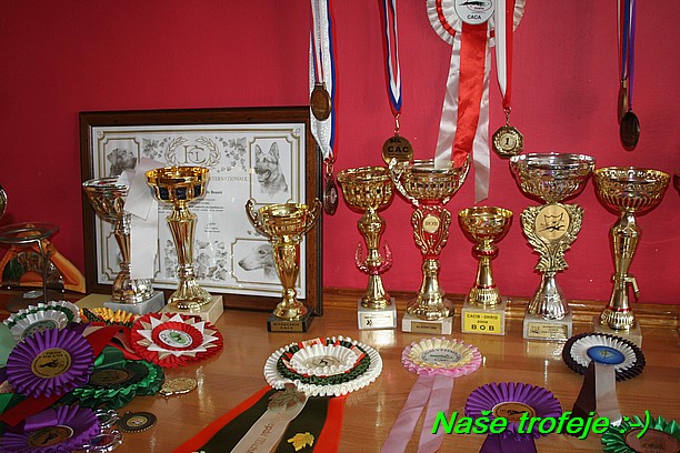 Nase trofeje (24)