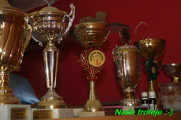 Nase trofeje (32)