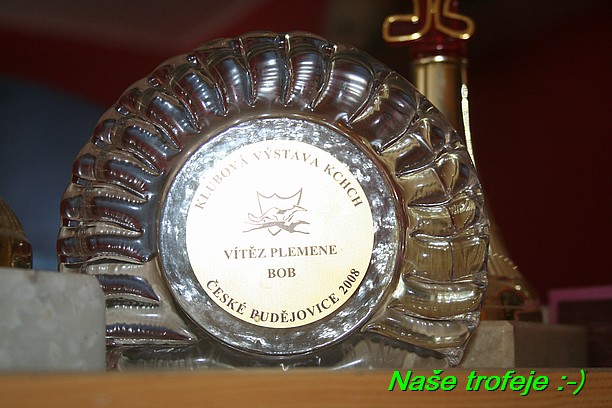 Nase trofeje (37)