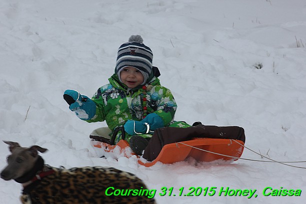 Coursing Hrdonov 31.1.2015 (48)