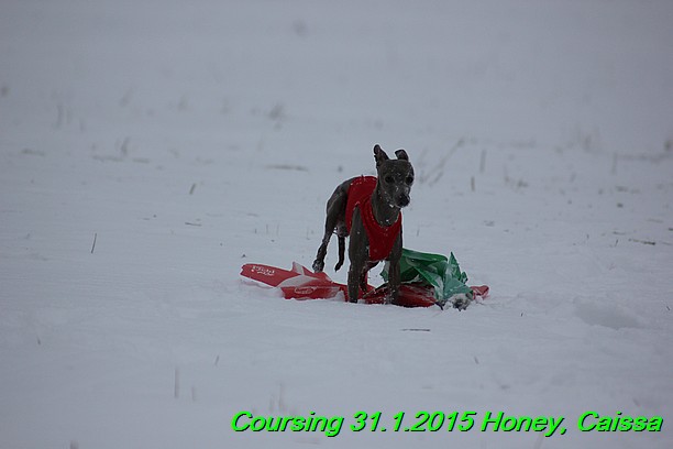 Coursing Hrdonov 31.1.2015 (165)