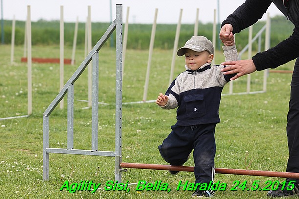 Agility 24.5.2015 Sisi, Bella, Haralda (7)