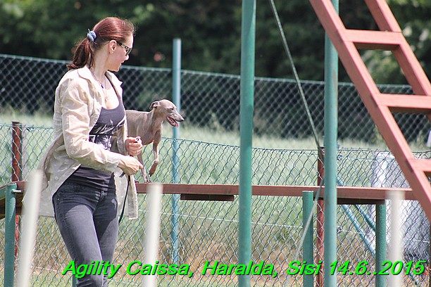 Agility 14.6.2015 Caissa, Haralda, Sisi (53)