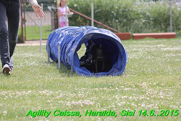 Agility 14.6.2015 Caissa, Haralda, Sisi (56)