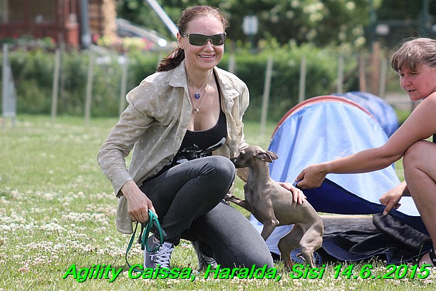 Agility 14.6.2015 Caissa, Haralda, Sisi (59)