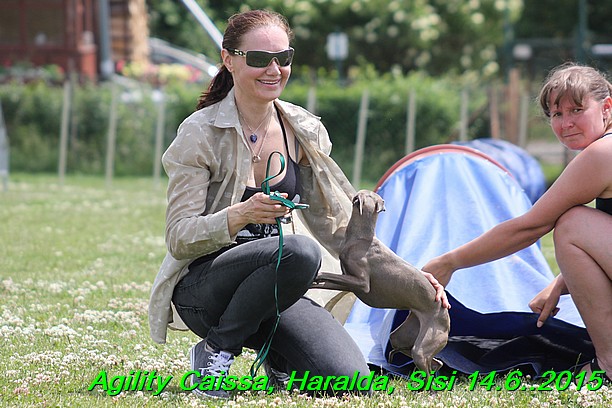 Agility 14.6.2015 Caissa, Haralda, Sisi (60)