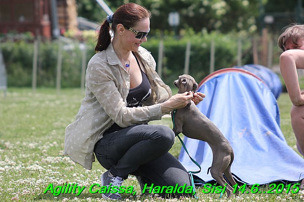 Agility 14.6.2015 Caissa, Haralda, Sisi (61)