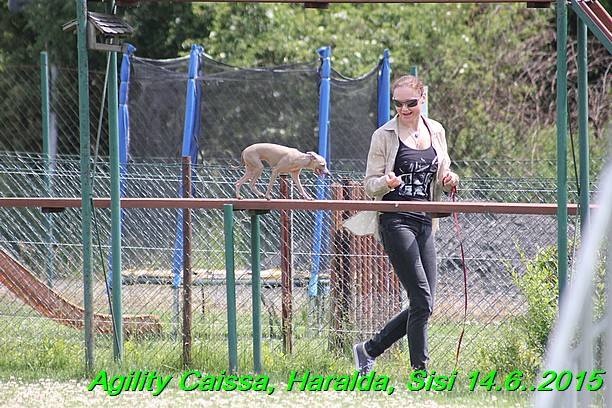 Agility 14.6.2015 Caissa, Haralda, Sisi (75)