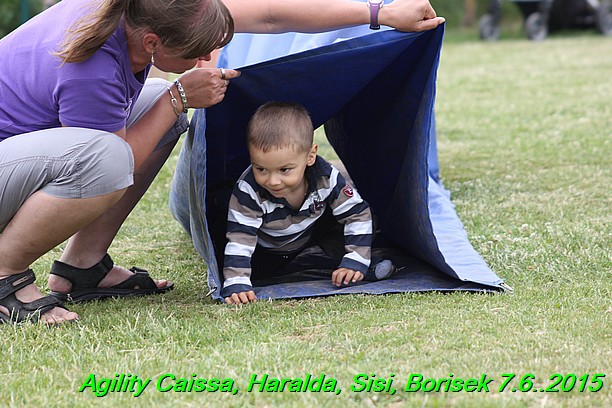 Agility 7.6.2015 Sisi, Caissa, Haralda, Borisek (46)