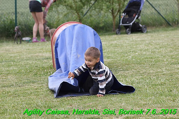 Agility 7.6.2015 Sisi, Caissa, Haralda, Borisek (51)