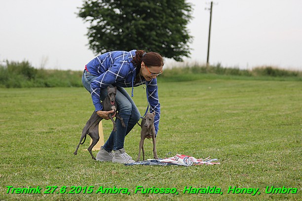 Trenink 27.6.2015 Honey, Umbra, Ambra, Furiosso, Haralda 27.6.2015 (188)