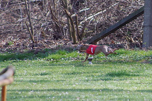 Liliana Feritte Bugsy Racetrack Kolin CZ. 4.04. 2009 07.jpg