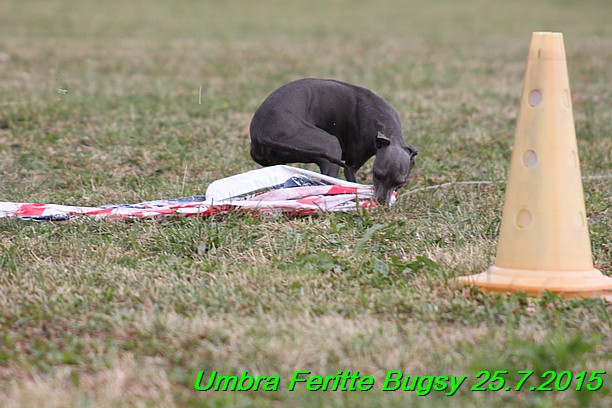 Umbra Feritte Bugsy 25.7.2015 (10)